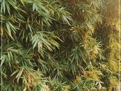 -夫子庙秦淮河画舫