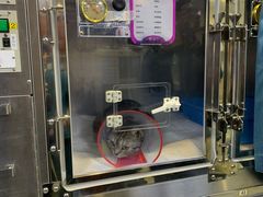-美联众合动物医院·24h转诊中心