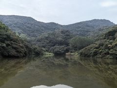 -黄埔油麻山森林公园