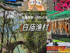 -飞来湖湿地公园