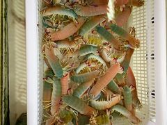 -南沙十九涌渔人码头-南门