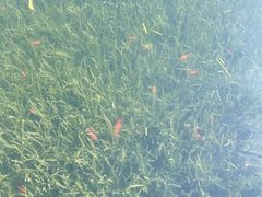 -雅达·阳羡溪山小镇中心