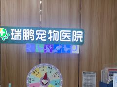 -瑞鹏宠物医院·夜间急症·心超·猫科(祖庙分店)