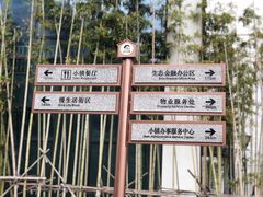 -湘湖金融镇