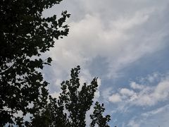 -水西公园