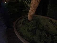 -见康道莱•足浴按摩•艾灸•SPA(友谊店)