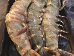 -熊出没日本烧肉放题