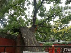 -天宁寺