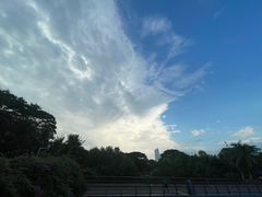 -深圳湾公园(南山区)