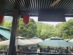 -阿巧茶庄