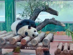 -广州动物园
