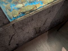 -码头鲜精致威海菜(欧乐坊店)