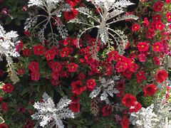 -上海植物园·停车场