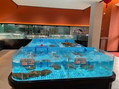 -上荔晶·土菜馆(古田店)