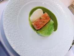 -蝶舍·MAISON PAPILLON