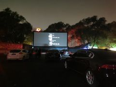 -枫花园汽车电影院(朝阳公园店)