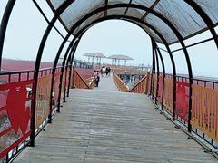 -红海滩国家风景廊道