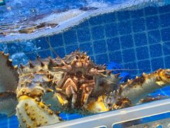 -启东小海鲜(庄先湾路1号店)