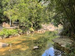 -广州白江湖森林公园