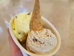-极拉图·现制冰淇淋(大卫城店)