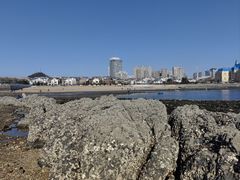 -黑石礁公园