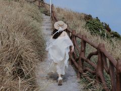 -枸杞岛