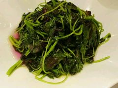 清炒苋菜-黄鹤楼湖北特色菜(高碑店)