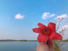 -露天矿生态公园