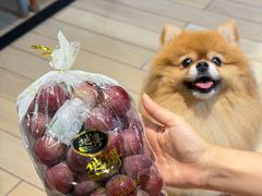 -上海久光百货