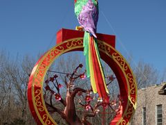 景点-南宫五洲植物乐园