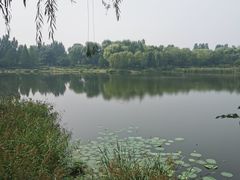 -北坞公园