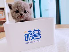 -萌兽医馆·眼科·异宠专科(三里屯店)