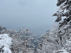 -峨眉山风景名胜区