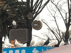 -成都欢乐谷