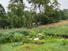 -桂湖森林公园