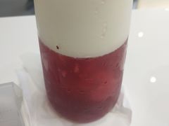 -飞行喵MR PILOT|猫舍·猫咖(静安大融城店)