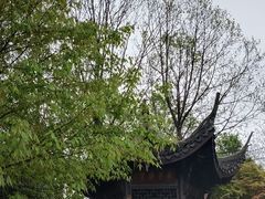 -杭州植物园