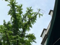 -河坊街景区