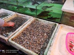 花甲-柯子岭肉菜市场(景泰综合楼店)