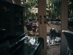 -Fern Forest Cafe