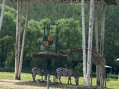 -哈尔滨北方森林动物园