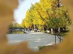 -玲珑塔公园