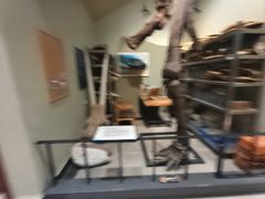 -湖南省地质博物馆