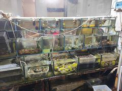 -来之顺海鲜菜馆·青岛菜(栈桥店)