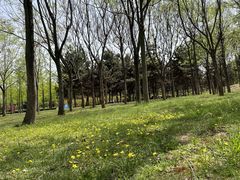 -洨河生态公园