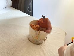 -瑞和（南京）月子会所