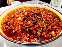 毛血旺-雲蜀龙阁·金牌水煮鱼(方庄店)