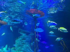 -沈阳海洋探索中心