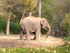 -北京野生动物园