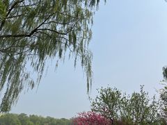 -燕郊植物园